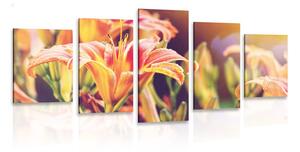 Quadri 5 pezzi – Bellissimi fiori in giardino