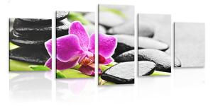Quadri 5 pezzi – Natura morta wellness con orchidea viola