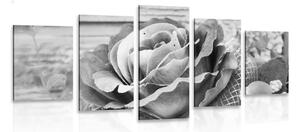 Quadri 5 pezzi – Rosa vintage elegante in bianco e nero