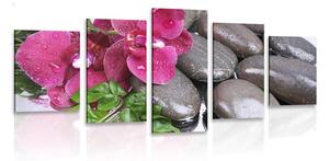 Quadri 5 pezzi – Orchidea fiorita e pietre wellness