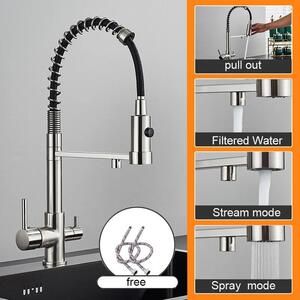 Rubinetto da cucina con filtro - Miscelatore a due maniglie - Doccetta estraibile - Montaggio a incasso a 1 foro - Ottone - Cartuccia in Vetroceramica - Acqua calda/fredda - Nichel spazzolato