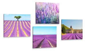 Set di quadri – Campo di lavanda
