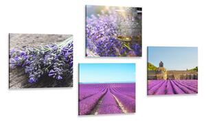 Set di quadri – Bella lavanda