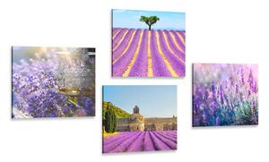 Set di quadri – Ricchezza della lavanda