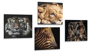 Set di quadri – Animali selvatici
