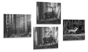Set di quadri – Animali del bosco in bianco e nero