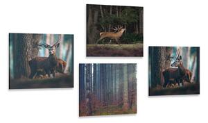 Set di quadri – Incanto degli animali del bosco