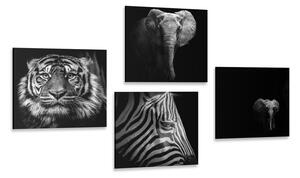 Set di quadri – Animali in stile bianco e nero