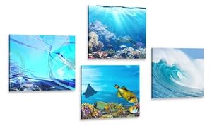 Set di quadri – Vita sotto il mare