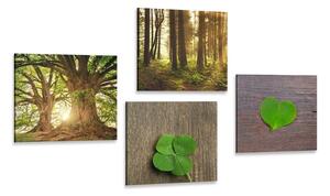 Set di quadri – Brezza della natura