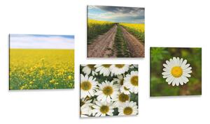 Set di quadri – Prato pieno di fiori