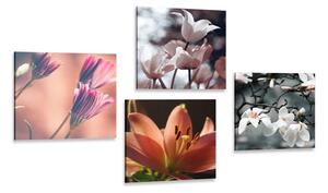 Set di quadri – Delicatezza dei fiori