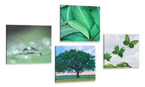 Set di quadri – Natura piena di verde