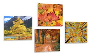 Set di quadri – Natura autunnale in colori splendidi