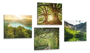 Set di quadri – Splendida natura verde