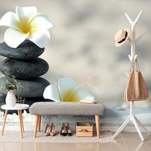 Carta da parati – Pietre armoniche e plumeria