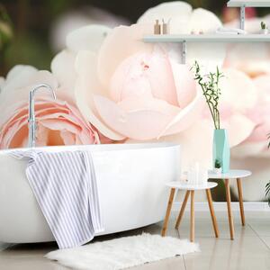 Carta da parati – Rose