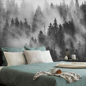 Carta da parati – Foresta nella nebbia in bianco e nero
