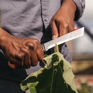 Fiskars Coltello Per Verdure e Frutta K82 Lama 15 Cm - 1062830
