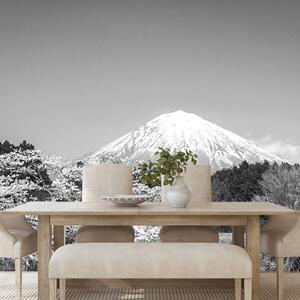 Carta da parati – Monte Fuji in bianco e nero