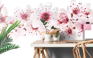 Carta da parati – Fiori di Ciliegio