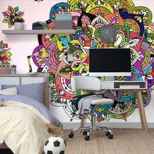 Carta da parati – Mandala multicolore