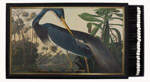 Scatola di design Louisiana Heron
