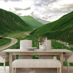 Carta da parati – Paesaggio verde