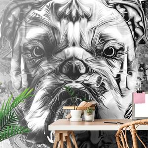 Carta da parati – Bulldog in bianco e nero