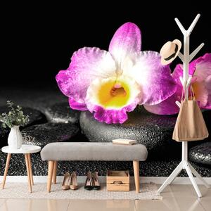 Carta da parati – Orchidea su pietre Zen