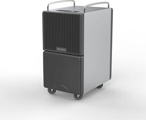 OLIMPIA SPLENDID Deumidificatore Portatile per la casa muffa 30 Litri in 24 Ore Tanica 8 Litri scocca acciaio inox - 02106 SECCOPROF 30 P