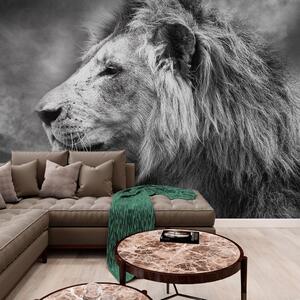 Carta da parati – Leone africano in bianco e nero