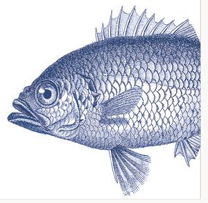Set di 40 tovaglioli di carta Fish