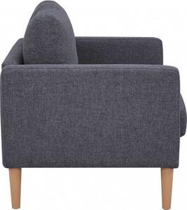 DecHome Divano 2 Posti Scandinavo in Tessuto Dimensioni 124x73x82 cm colore Grigio Scuro - Santa Fe