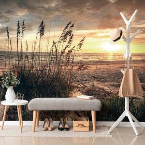 Carta da parati – Tramonto sulla spiaggia