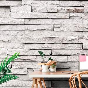 Carta da parati – Rivestimento in pietra elegante