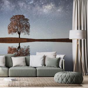 Fotomurale – Cielo stellato sopra l'albero solitario