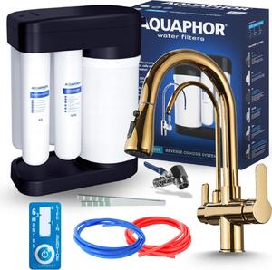 Miscelatore da cucina a 3 vie Nordic con sistema a osmosi inversa Morion 102S RO, bocca separata per l'acqua filtrata, doccetta estraibile, bocca orientabile (oro)