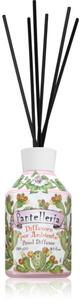 Rudy - Le Maioliche Pantelleria diffusore di aromi con ricarica 250 ml