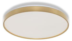 Osram - Plafoniera LED CEILING LUXO LED/36W/230V diam. 49 cm oro