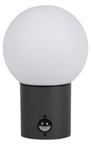 Kanlux 46081-Lampada da parete per esterni con sensore STONO 1xE27/15W/230V IP65 antracite