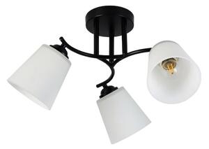 Plafoniera PAFOS 3xE27/15W/230V nero