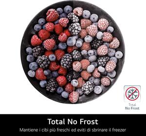 Lg Frigorifero Combinato Capacit 333 Litri Classe energetica E Raffreddamento No Frost colore Argento - GBBSJ10EPY