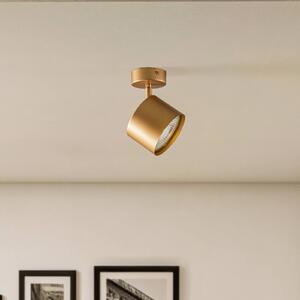 Argon Spot soffitto Chloe regolabile 1 luce, oro