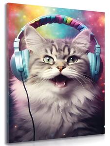 Stampa su tela – Gatto con cuffie