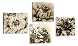 Set di quadri – Fiori in seppia