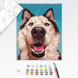 Dipingere con i numeri – Selfie del cane