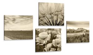 Set di quadri – Paesaggio seppia con fiori