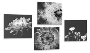 Set di quadri – Fiori delicati in bianco e nero