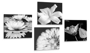 Set di quadri – Fiori con farfalla in bianco e nero